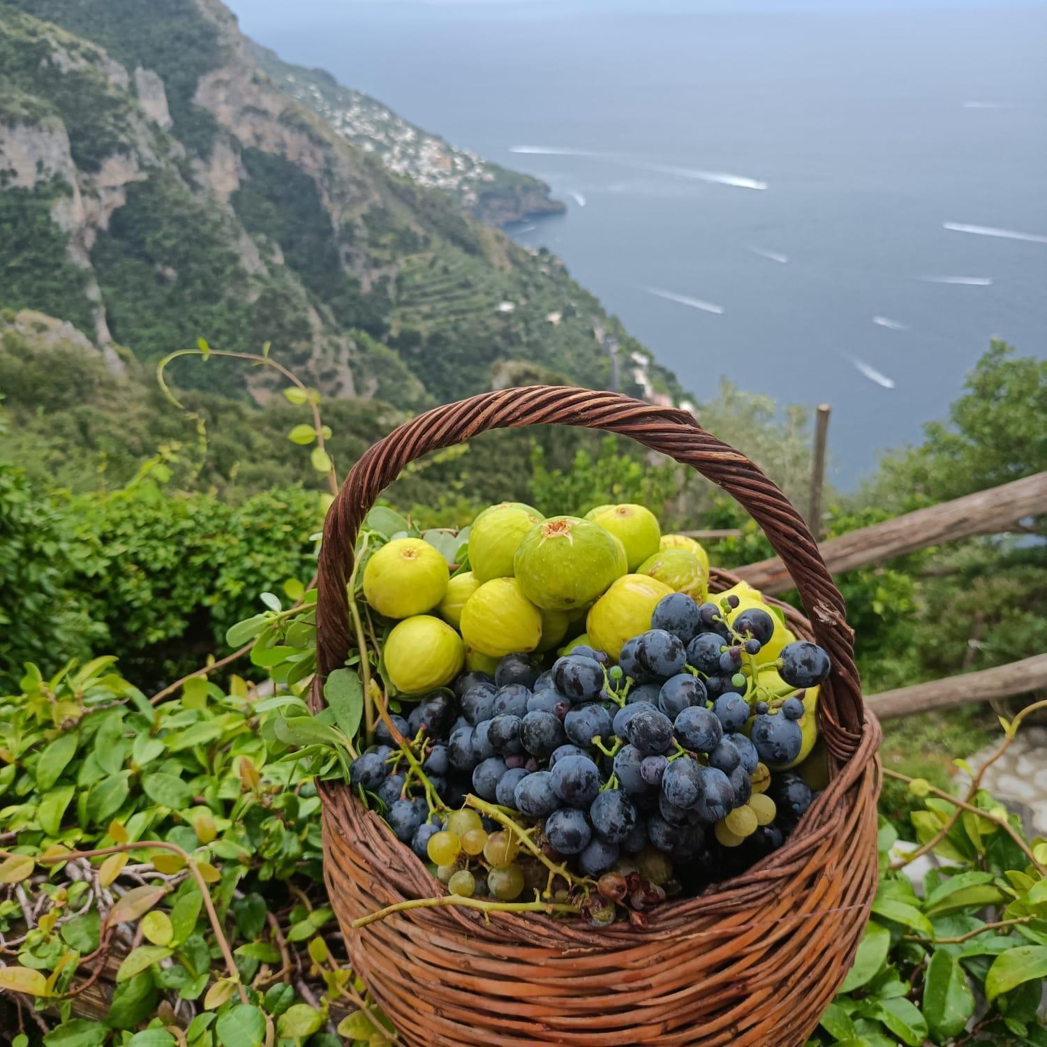 Villa Antica Macina بوسيتانو المظهر الخارجي الصورة
